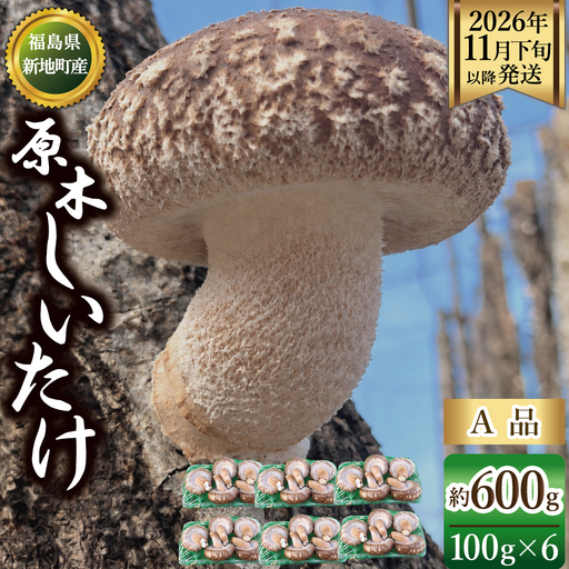 福島県産 原木生しいたけ 600g(100g×6p) A品 | 新地町 国産 しいたけ 椎茸 肉厚 きのこ きのこ類 原木栽培 農家直送 産地直送 お取り寄せ